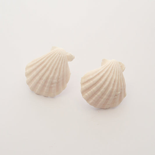 Pendientes conchas blanca