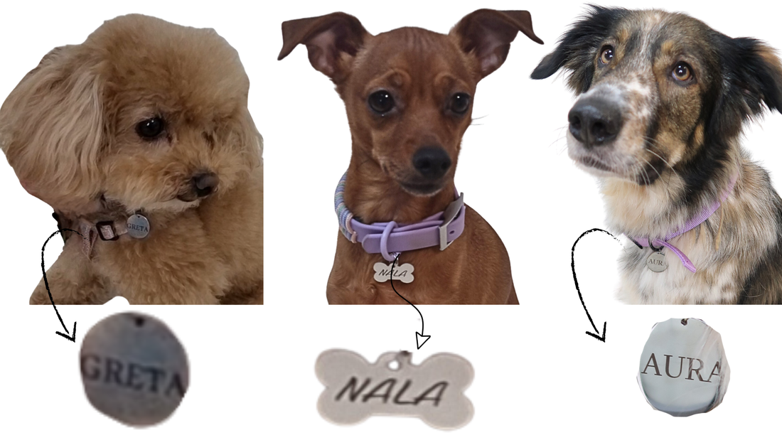 GRABA LA PLACA PARA TU MASCOTA