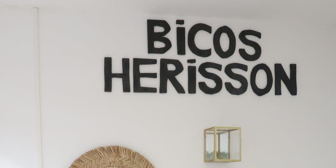 Bicos herisson - Bono comercio Galicia