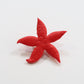 Broche estrella de mar
