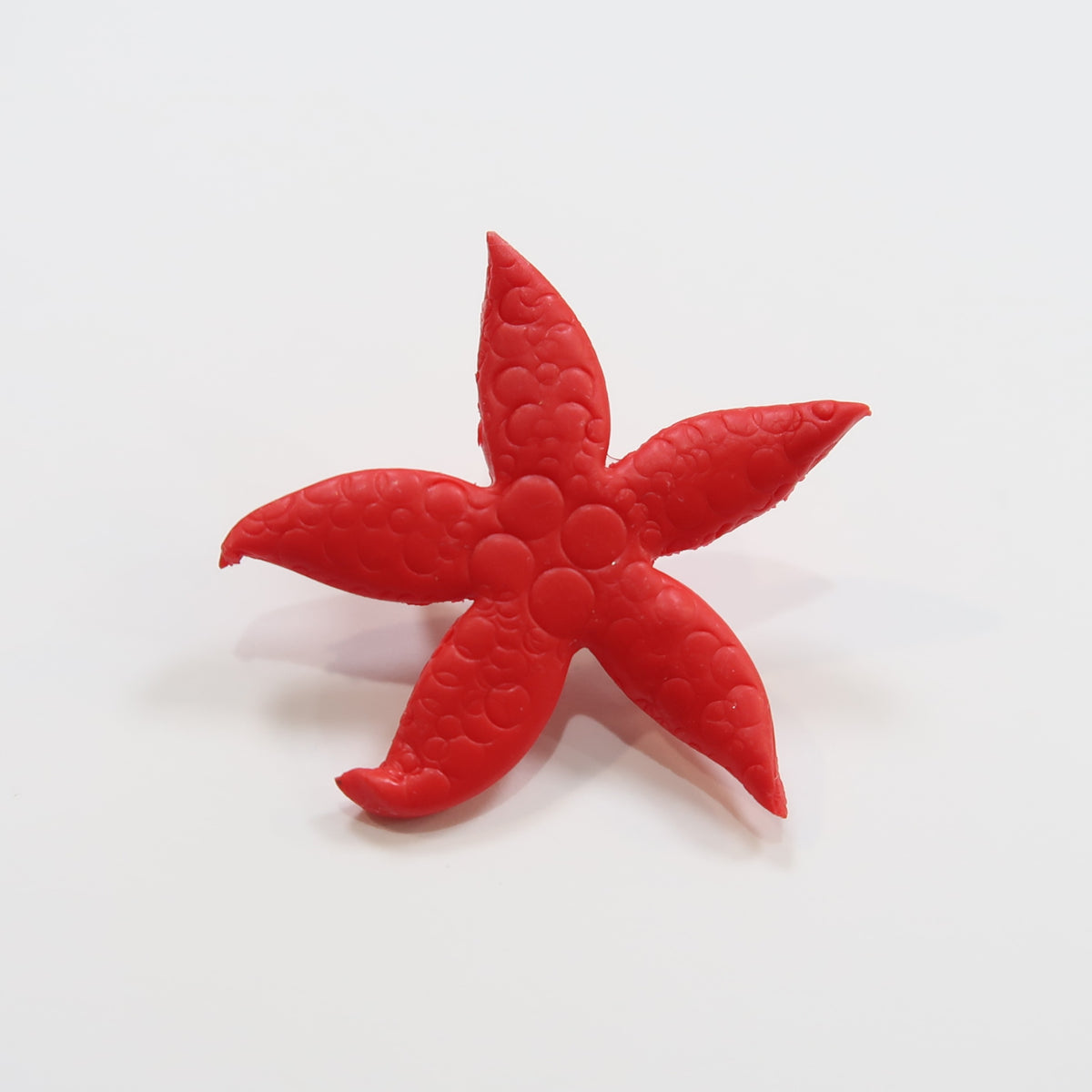 Broche estrella de mar