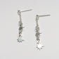 Pendientes estrella polar