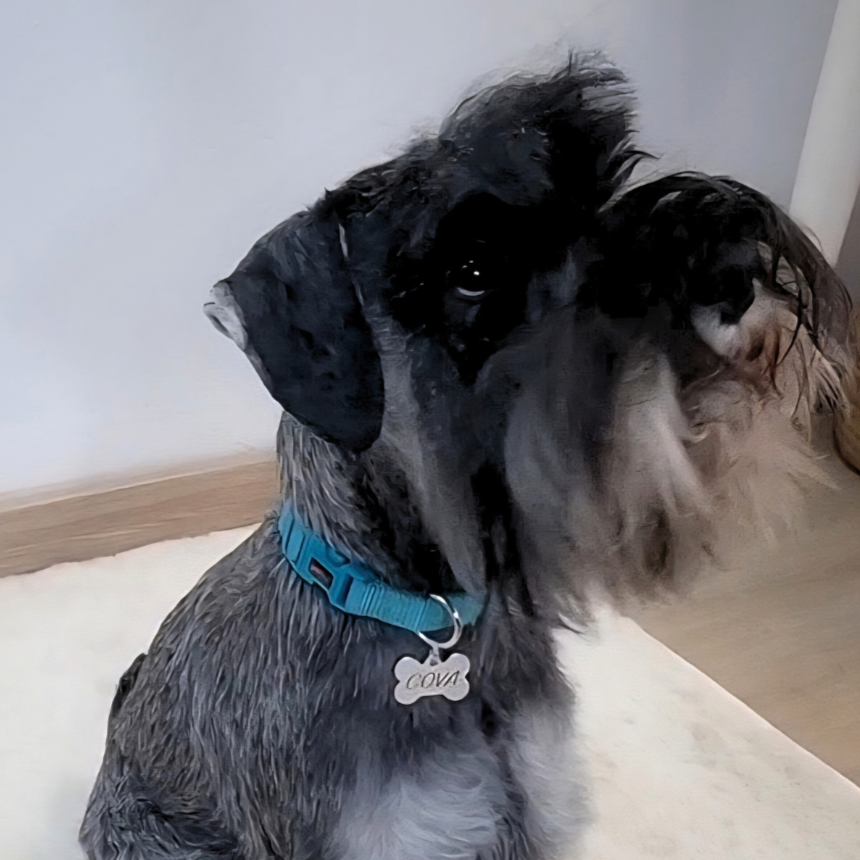 Placa para mascota - Hueso