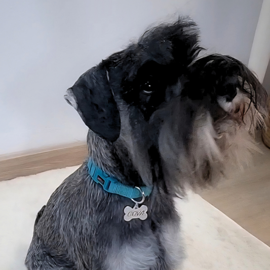 Placa para mascota - Hueso