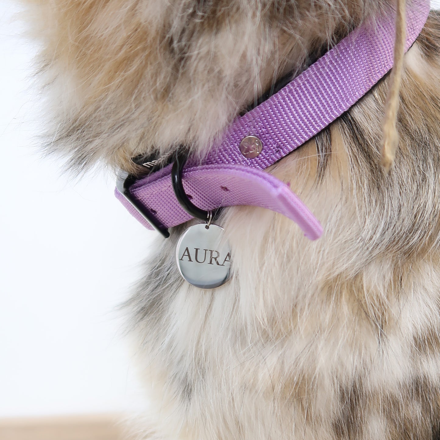 Placa para mascota - redonda 30 mm