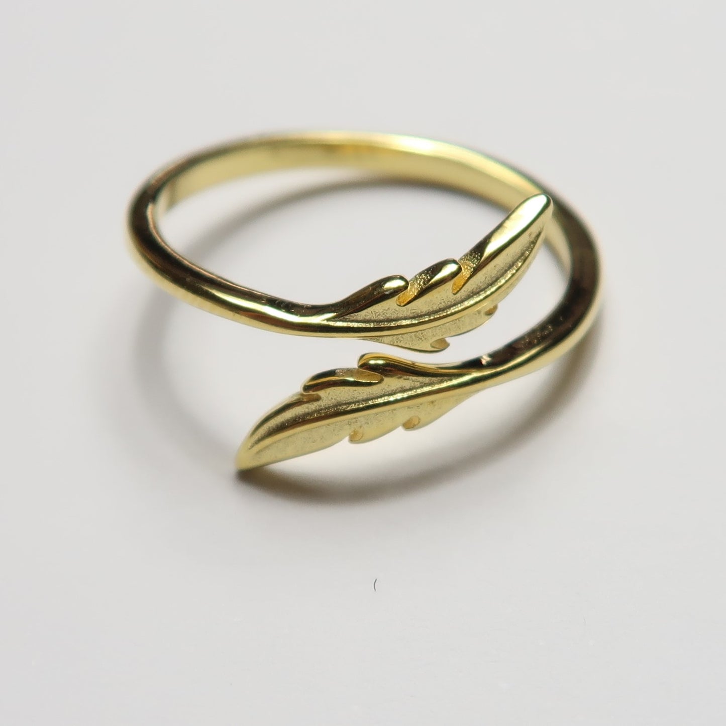 Anillo plumas